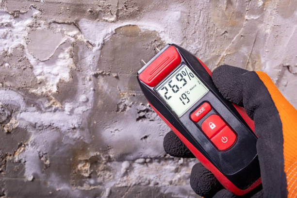 Best Attic Mold Removal  in Bartonsville, MD