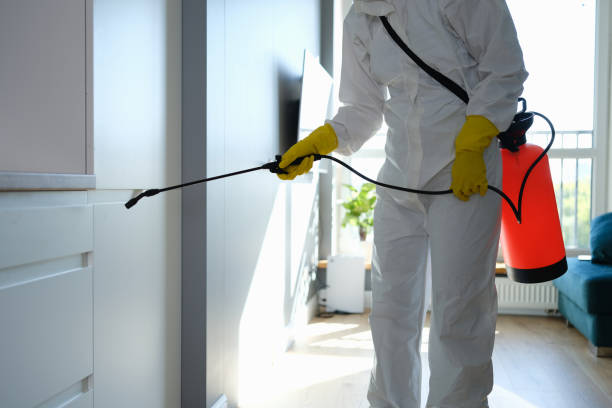 Best Commercial Mold Removal  in Bartonsville, MD