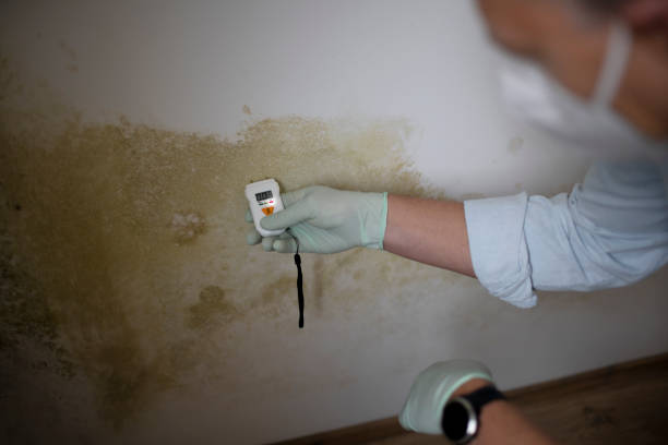 Best Crawl Space Mold Removal  in Bartonsville, MD