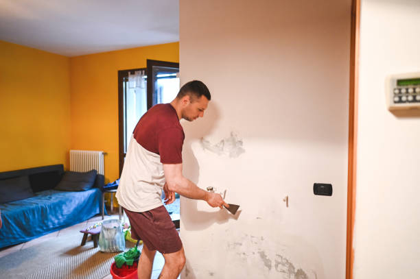Best Professional Mold Removal  in Bartonsville, MD